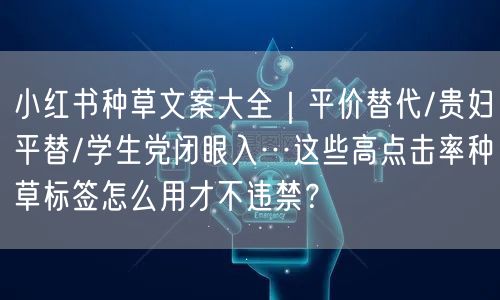 小红书种草文案大全｜平价替代/贵妇平替/学生党闭眼入…这些高点击率种草标签怎么用才不违禁？