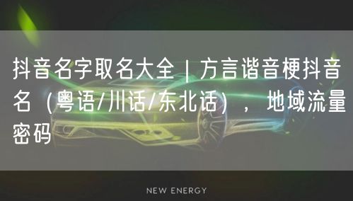 抖音名字取名大全｜方言谐音梗抖音名（粤语/川话/东北话），地域流量密码