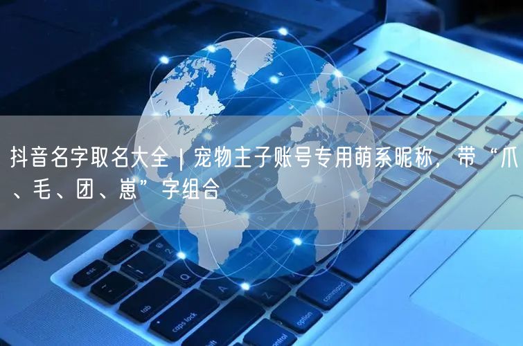 抖音名字取名大全｜宠物主子账号专用萌系昵称，带“爪、毛、团、崽”字组合