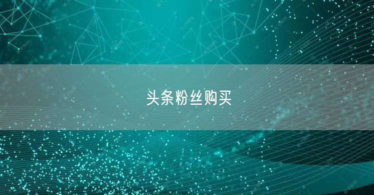 头条粉丝购买