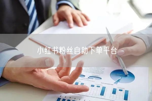 小红书粉丝自助下单平台