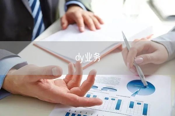 dy业务